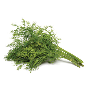 Dill Continental (bunch)