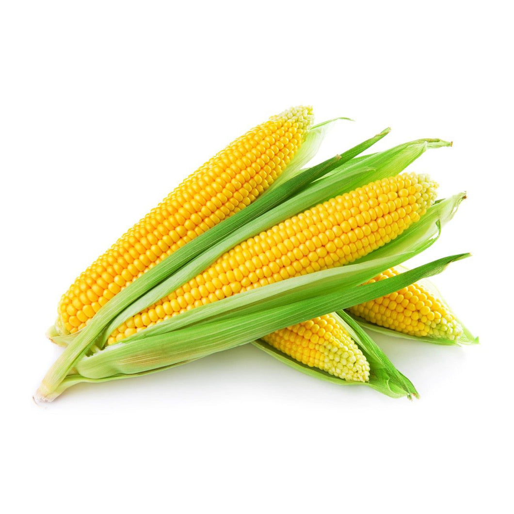 Corn Cob (each)